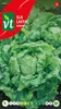 Kopfsalat Batavia Samen - Ca. 3 gr | VT_565 Produktbild-Vorschau 1