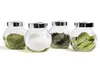 Four glass jars containing different spices and herbs, arranged in a row on a white background. Produktbild-Vorschau