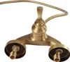 A close-up view of a brass-colored shower faucet with a flexible hose attached. Náhled obrázku produktu
