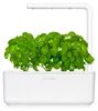 EMSA Substratkapsel Click & Grow Basilikum 3er Pack, Produktbild-Vorschau 15