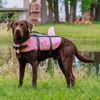 Hunde Schwimmhilfe Nobby Sharki pink XS, 25 cm, Produktbild-Vorschau 2