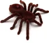 Ferngesteuerte Spinne – Realistische Bewegung | 15 cm Länge Produktbild-Vorschau 6