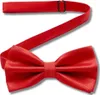 Pánský motýlek červený nastavitelný motýlek elegantní Náhled obrázku produktu 2
