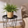 Künstlicher farn im topf "clemy" grün h45cm  - Atmosphera Produktbild-Vorschau 4