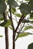 Mica Decorations Eucalyptus plante artificielle dans pot de Voir les images du produit 4