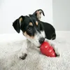 A puppy playing with a red KONG toy on a white carpet. Anteprima dell’immagine prodotto