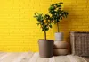 Jinfa Metall Mülleimer mit Deckel und Tragegriffen - für Produktbild-Vorschau 10