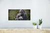 MuchoWow® Poster Großer Gorilla schaut direkt in die Kamera Produktbild-Vorschau 5