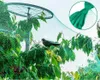 A bird is perched on a branch of a tree covered by a green bird net. Produktbild-Vorschau