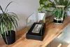 A black freestanding bio-fireplace with glass panels sits on a wooden shelf, surrounded by potted plants. Produktbild-Vorschau