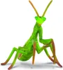 Collecta - Mantis Religiosa -L- 88351 (90188351) COLECTA Náhľad obrázku produktu 1