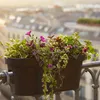 Balkon Geländer Blumentopf oval - anthrazit / 60 cm - Produktbild-Vorschau 7