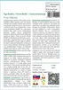 SAFLAX - Figa Budhu / Strom Bodhi - Ficus religiosa - 100 Náhľad obrázku produktu 3