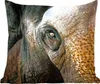 MuchoWow® Zierkissen Sofakissen Wohnzimmer Dekokissen 50x50 Produktbild-Vorschau 1
