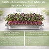 Friendly Fox Microgreens Anzuchtschale aus Edelstahl, 2er Produktbild-Vorschau 3