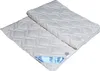 Waschbare Wildseiden Sommerdecke Sommer Steppbett 135x200 Produktbild-Vorschau 2