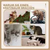 PawHut Kratzbaum 72 cm Katzenturm mit Plüschballen, Produktbild-Vorschau 6