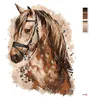 Zuty - Malování podle čísel - HNĚDÝ KŮŇ, 40x50 cm, vypnuté Náhled obrázku produktu 3