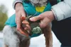 Ruffwear Bark'n Boot Socks set di 4 calzini per cani, Anteprima dell’immagine prodotto 4