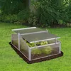 A cold frame greenhouse with lettuce growing inside, placed on a lawn. Voir les images du produit
