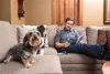 Collare elettrico / addestratore a distanza PetSafe Lite Anteprima dell’immagine prodotto 2