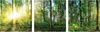 3er Set Wandbild je 30x30cm Glasbild Wald Natur Sonne Produktbild-Vorschau 1