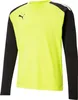 Mikiny Puma Teampacer Gk B23743 Náhled obrázku produktu 3