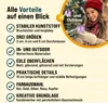 DEUBA® Weihnachtskugeln 100tlg Ø 3-6cm Kunststoff matt Produktbild-Vorschau 9