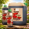 HESI Bloom Volldünger für die Blütephase, für alle Produktbild-Vorschau 7