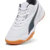 Schuhe Puma Solarflash Ii pánská sálová albov eu 40,5 Produktbild-Vorschau 10