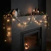 Guirlande lumineuse LED pour intérieur et extérieur - 80 Voir les images du produit 3