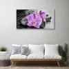 Acrylglasbilder 100x50 Wandbild Druck Blumen Steine Produktbild-Vorschau 3