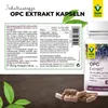 Raab Vitalfood Opc Extrakt Kapseln  90 St Produktbild-Vorschau 4