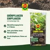 COMPO SANA® Grünpflanzen- und Palmenerde 10 l 4008398114312 214031 11431 Produktbild-Vorschau