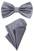 DonDon 2er Set Herren Fliege und Einstecktuch farblich Produktbild-Vorschau 1
