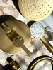 Rea Unterputz Duschset Ontario Brush Gold Produktbild-Vorschau 5