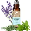 PHINTIN Roll-On Klarer Kopf 10 ml | Duftroller mit Mandel-, Produktbild-Vorschau 1