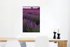 MuchoWow® Poster Sonnenuntergang beleuchtet Lavendelfeld in Produktbild-Vorschau 5