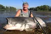 Zeck Blinker Jörg Spin 270cm 30-180g Wallerrute Waller Produktbild-Vorschau 8