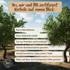ARGANÖL BIO KALTGEPRESST | 100% Rein | Für Haare Haut & Produktbild-Vorschau 7