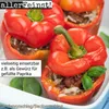 Premium Gyros Gewürzzubereitung - Gyrosgewürz für Fleisch, Produktbild-Vorschau 9