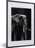 MuchoWow® Gerahmtes Poster Elefant auf schwarzem Produktbild-Vorschau 1