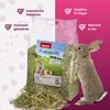 PANTO Premiumheu 1kg - Nagerfutter, für Kaninchen, Produktbild-Vorschau 2