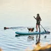 Non-stop dogwear Protector Life Jacket | 1732 | Produktbild-Vorschau 6