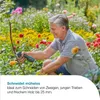 Gartenschere AssistCut                E3 Produktbild-Vorschau 40