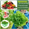 30 Stück Schneckenschutzring Set, Schneckenschutz Produktbild-Vorschau 8
