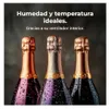 CECOTEC A01_EU01_100509 - Bolero GrandSommelier Origin Duo Anteprima dell’immagine prodotto 2