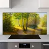 Coloray Küchenrückwand 140x70 Spritzschutz aus Glas - Produktbild-Vorschau 2