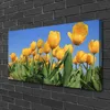 Tulup Leinwand-Bilder 100x50 Wandbild Canvas Kunstdruck Produktbild-Vorschau 2