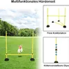 ACXIN sada tyčí pro agility Tréninkové tyče pro kondiční Náhled obrázku produktu 9